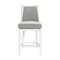 Alaterre Furniture Ellie Counter Height Stool with Back, White ANEL01PDC - alternate 1